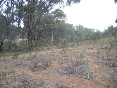 C / A 19J MT CAMEL-GREYTOWN ROAD, Redcastle