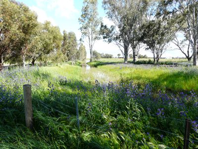 Lot 63, McCullochs Road, Tocumwal