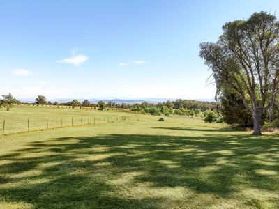 75 Ambrose Drive, Tolmie