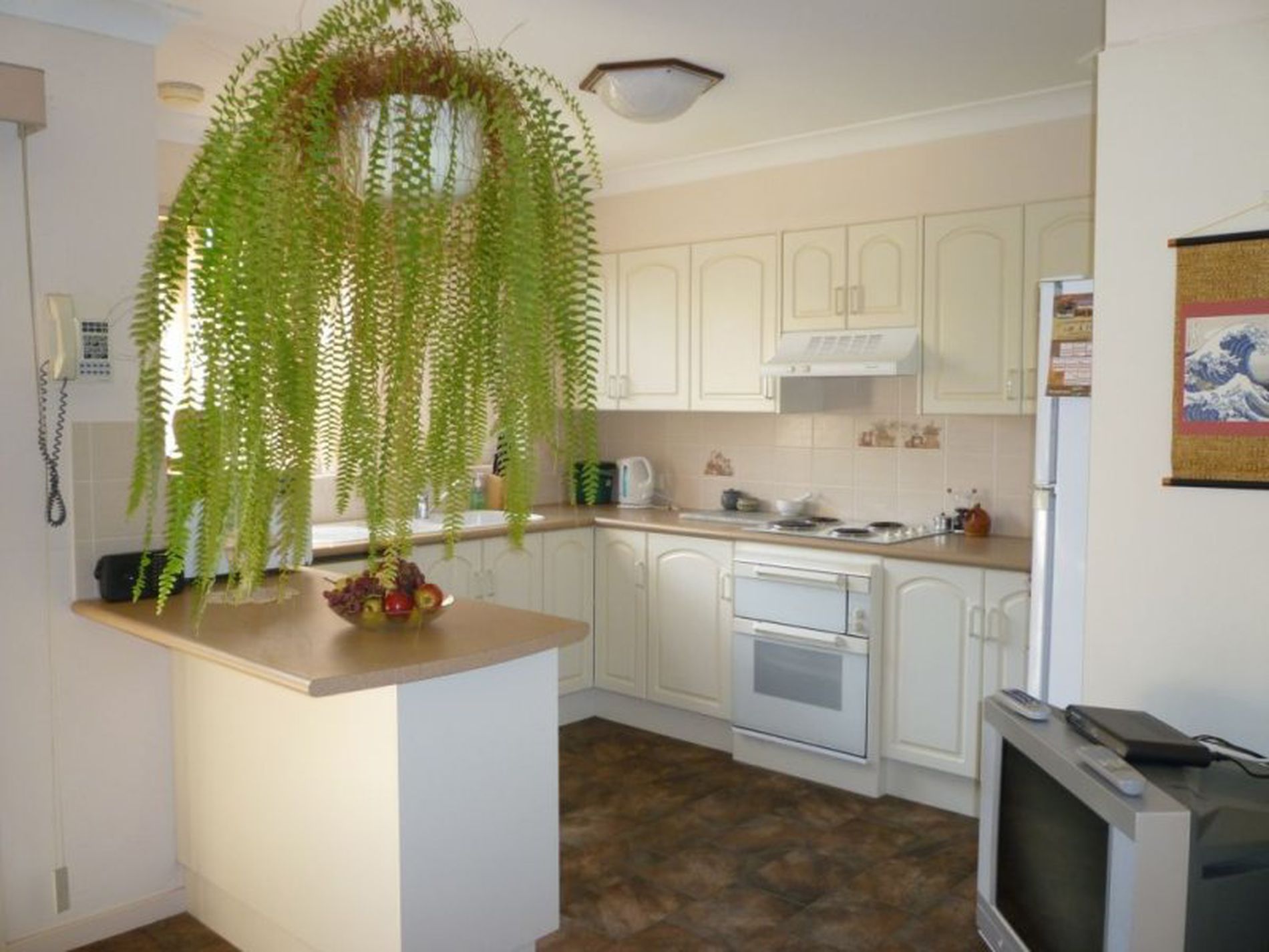 170 Leo Drive, Narrawallee