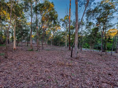 17 Wattle Place, Gumdale