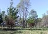 68 Cullya Road, Clergate, Orange