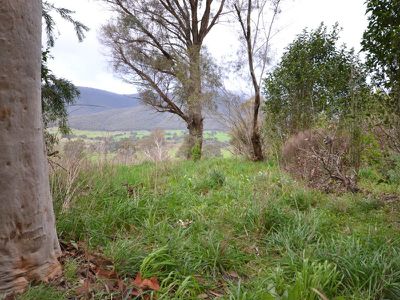 5062 Kiewa Valley Highway, Running Creek