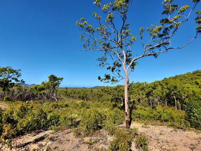 Lot 1 Oakey Creek Road, Cooktown