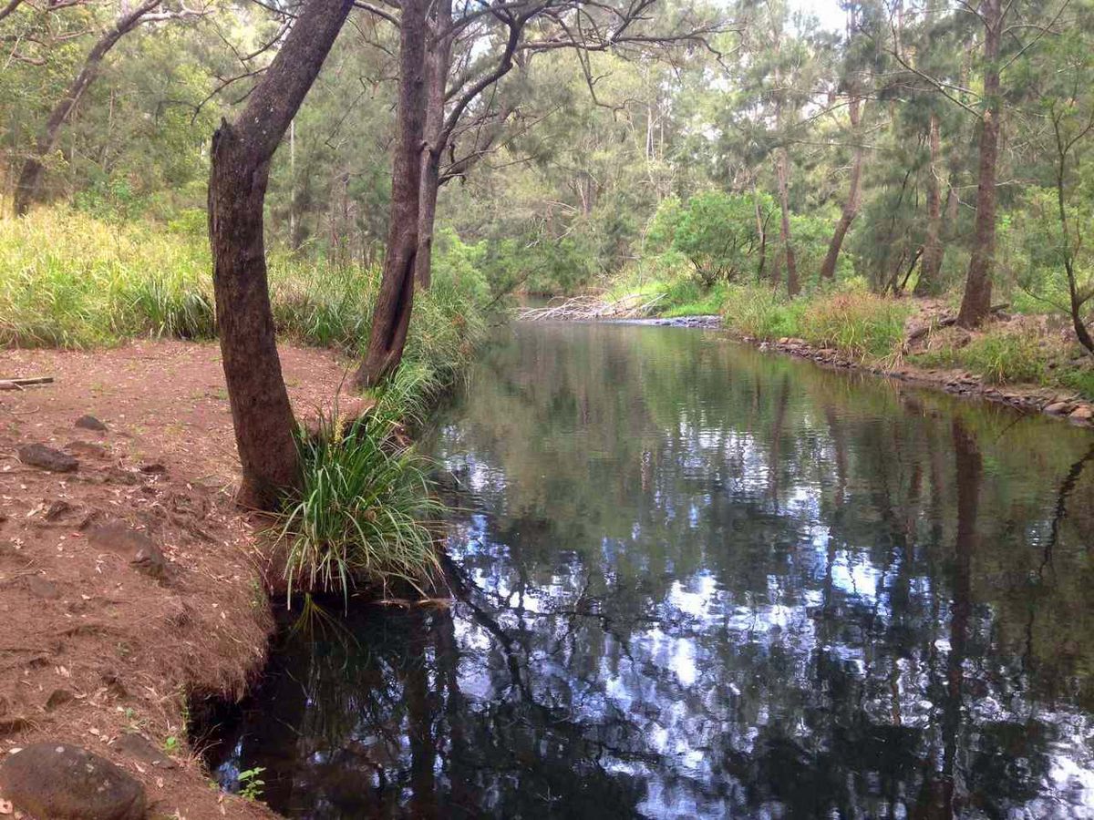 127 RIVER ROAD, Millstream