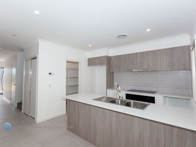 4 Spinneret Court, Bahrs Scrub