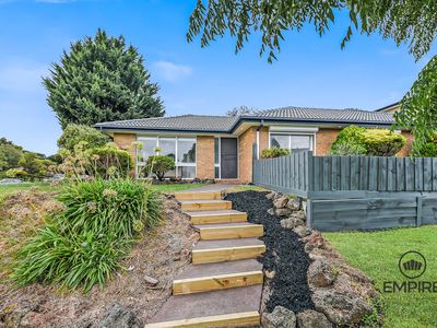14 Shetland Street, Endeavour Hills