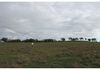 324 Dripstone Road, Neurea