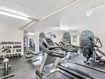 19 / 24 Hamilton Ave, Surfers Paradise