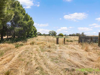 3861 Nhill-Jeparit Road, Jeparit