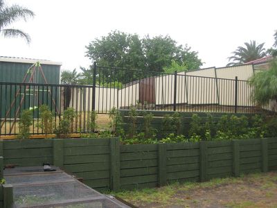 Hinchinbrook