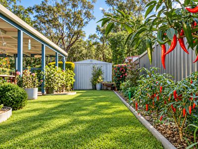 36 Kingsford Drive, Brunswick Heads