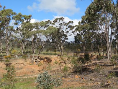 Lot 5, Old St Arnaud Road, Berrimal