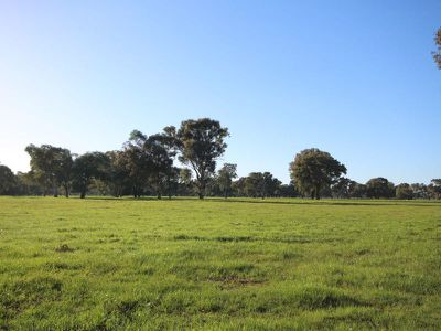 131 River Road, Wangaratta