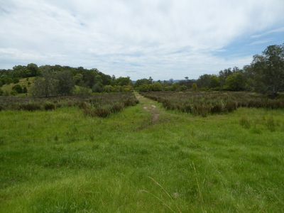 Lot 9 Mullumbimby Road, Mullumbimby