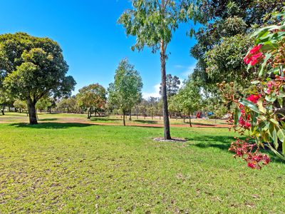 15 Cyandra Loop, Banksia Grove