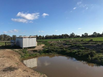 317 Lilford Lane, Barham