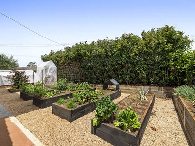 13 Wessex Street, Harristown