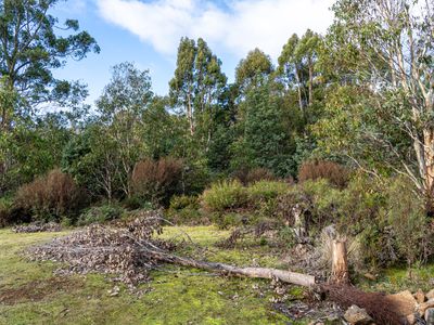 256 Bradys Lake Road, Bradys Lake