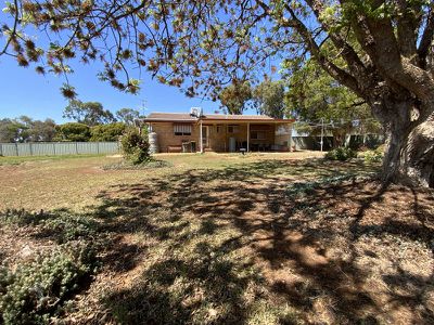 36 Cameron Street, Curlewis