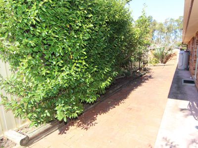 2 / 15 Lachlan Avenue, Tuncurry