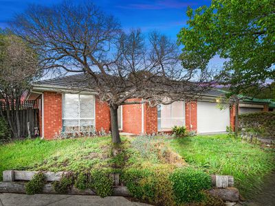 53 William Wright Wynd, Hoppers Crossing