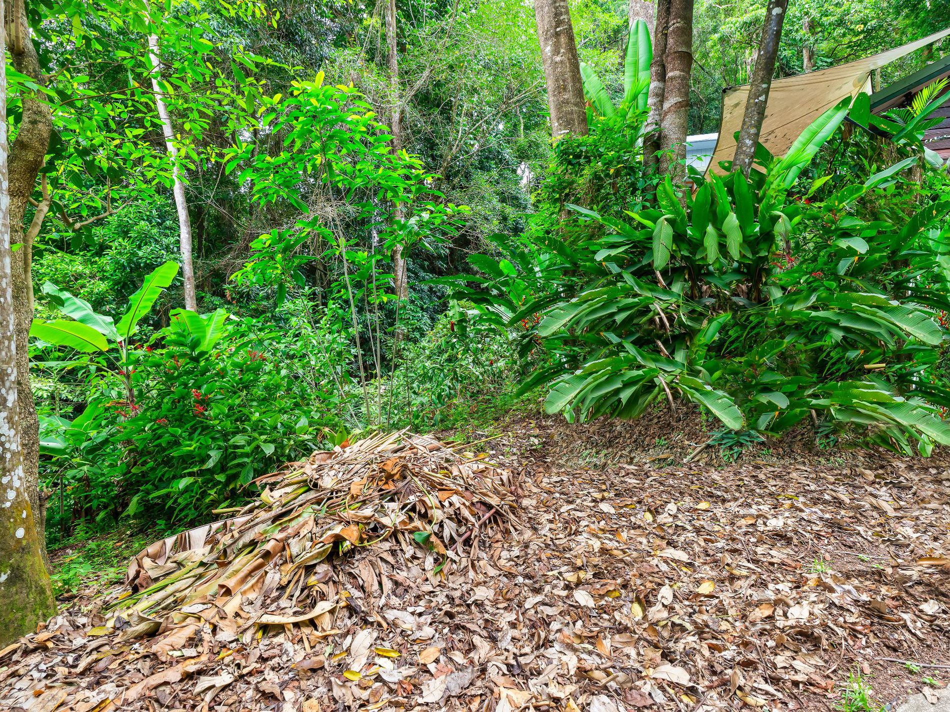 14 Jagera Close, Kamerunga