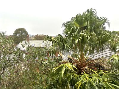 77 / 51 Hereford Street, Glebe