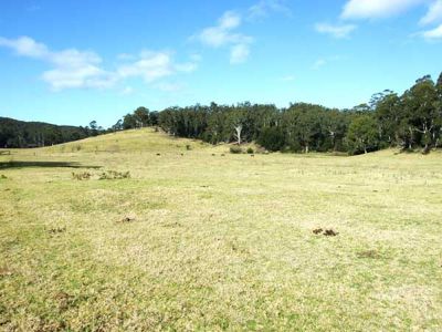 157 Shelleys Road, Kiah
