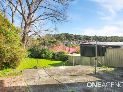 152 Lake Avenue, Cringila