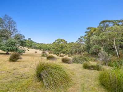 Lot1, Devlyns Road, Birchs Bay