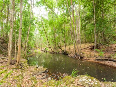 931 Eumundi Kenilworth Road, Belli Park