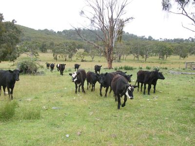 Lot 2 Eastfield, Deepwater