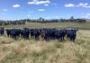 Lot 101 Strathmore Lane, Molong