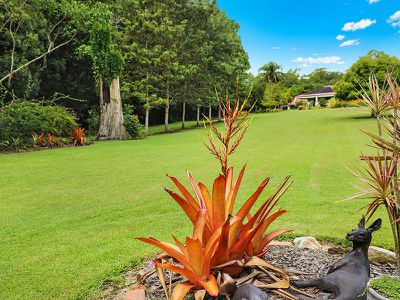 36 Preston Road, Diddillibah