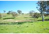 346 Avoca Road, Stuart Town