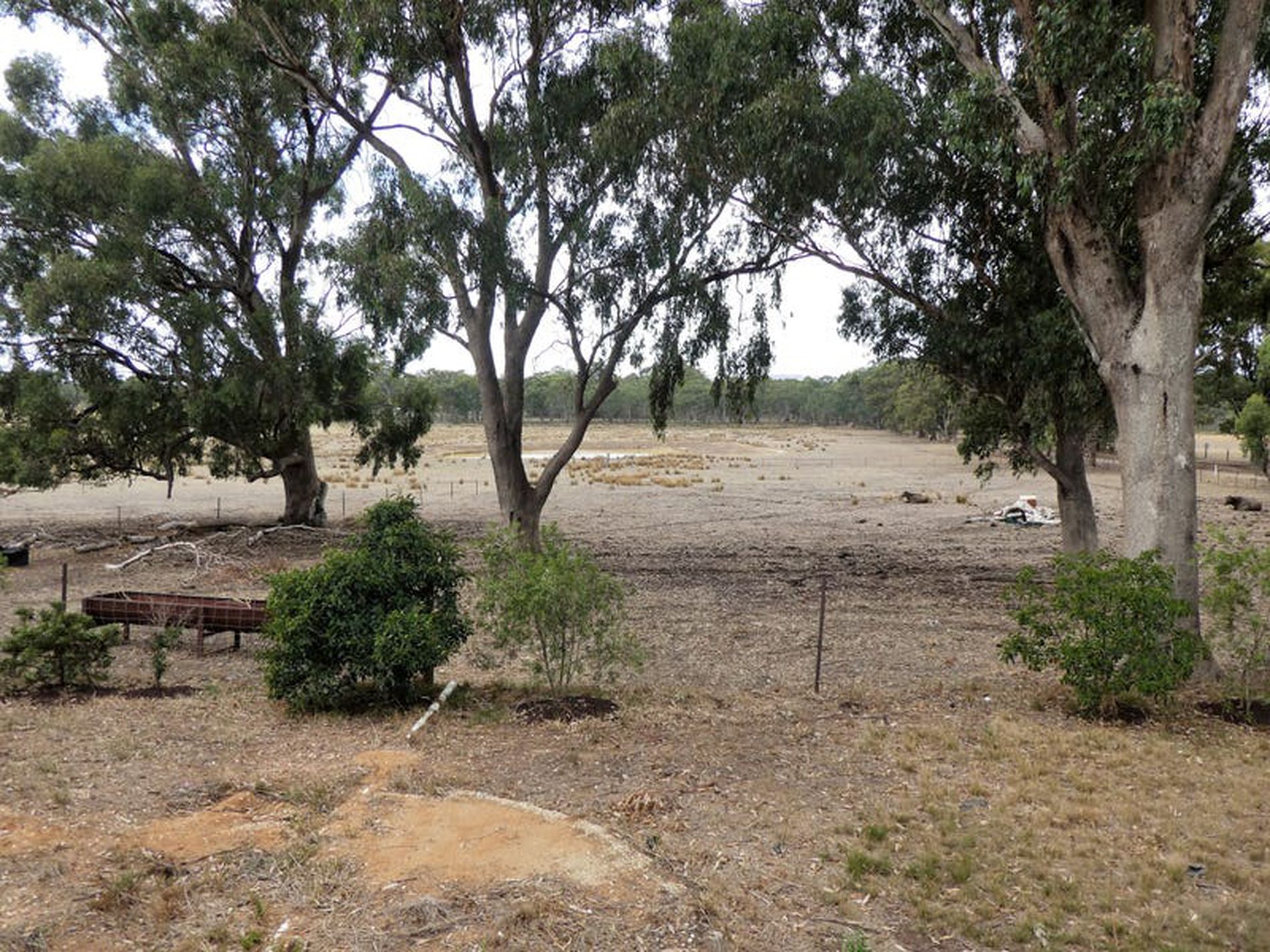 70 Cowles Rd, Northwood