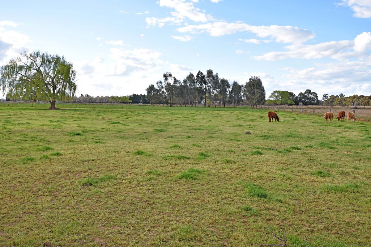 58 Everard Road, Kyabram