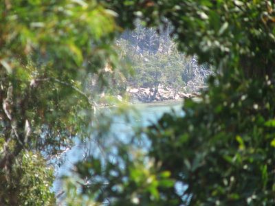 109 Williams Road, Randalls Bay