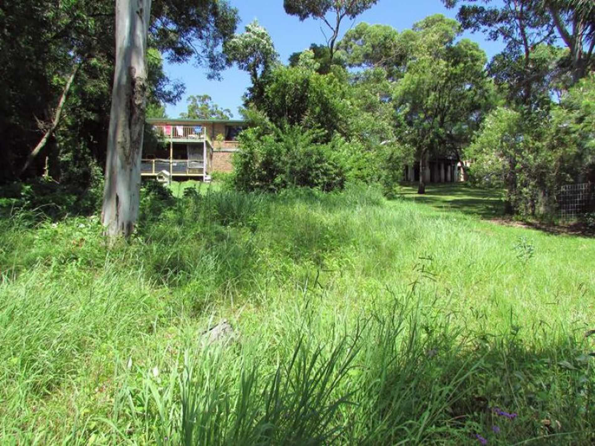 21 Treetops Crescent, Mollymook