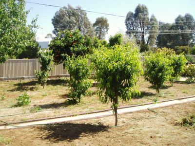 36 MARGARET STREET, Cohuna
