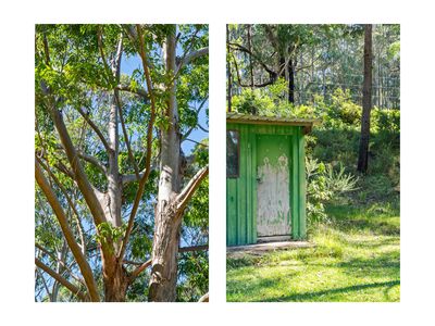 520 Monkey Mountain Road, Morton