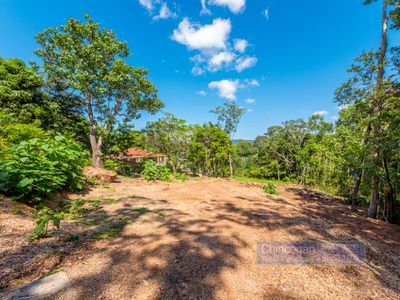 16A Azalea Street, Mullumbimby