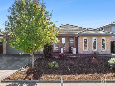 32 Springridge Boulevard, Wallan