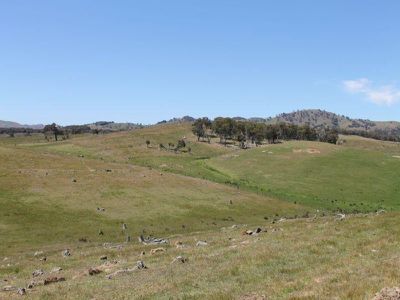 1045 Dairy Flat Road, Heathcote