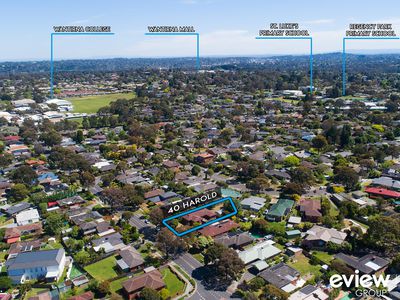 40 Harold Street, Wantirna