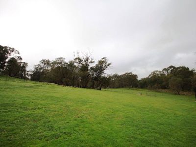 344 Taminick Gap Road, Taminick