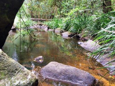 21 Avalon Stoney Chute Road, Stony Chute
