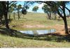 4096 Henry Parkes Way, Manildra