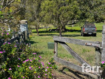 388 Swan Gully Road, Bromelton